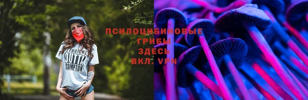 круглые Алзамай