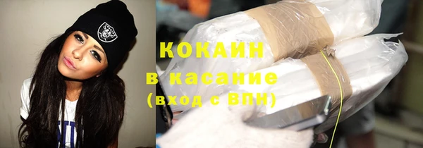 шишки Алексеевка