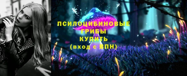 шишки Алексин