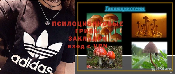 круглые Алзамай